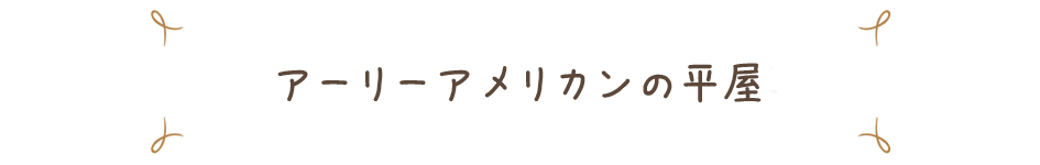 アーリーアメリカンの平屋キャッチ